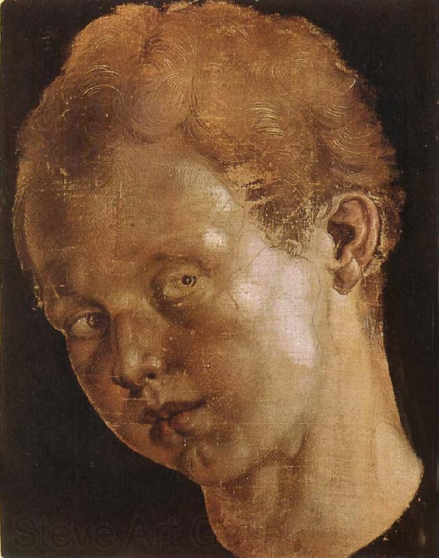 Albrecht Durer Head of a boy facing toward the left